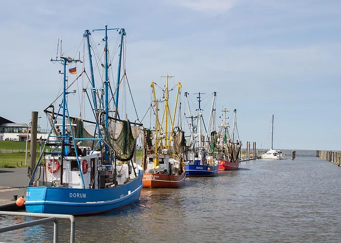 Mellumplate 62 بيت للعطل